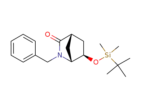 (1R,4S,6R)-2-Benzyl-6-(tert-butyl-dimethyl-silanyloxy)-2-aza-bicyclo[2.2.1]heptan-3-one