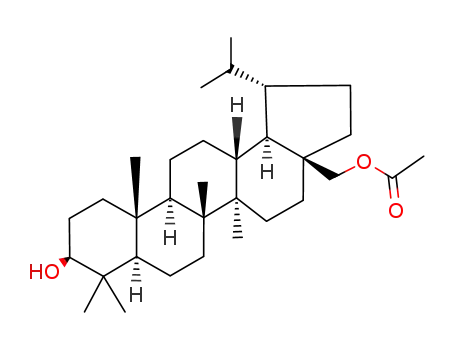 3β,28-lupanediol 28-acetate