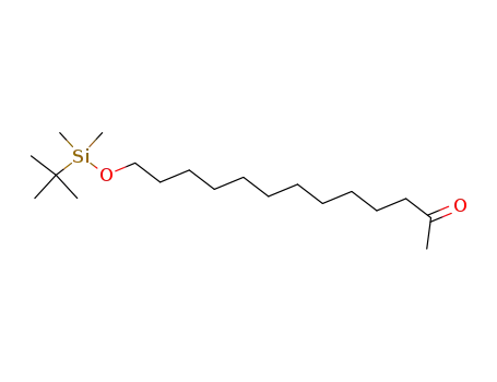 Molecular Structure of 215322-25-1 (2-Tridecanone, 13-[[(1,1-dimethylethyl)dimethylsilyl]oxy]-)