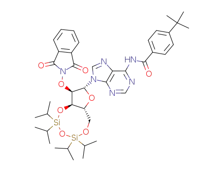 4-tert-Butyl-N-{9-[(2R,3R,3aR,9aR)-3-(1,3-dioxo-1,3-dihydro-isoindol-2-yloxy)-5,5,7,7-tetraisopropyl-tetrahydro-1,4,6,8-tetraoxa-5,7-disila-cyclopentacycloocten-2-yl]-9H-purin-6-yl}-benzamide