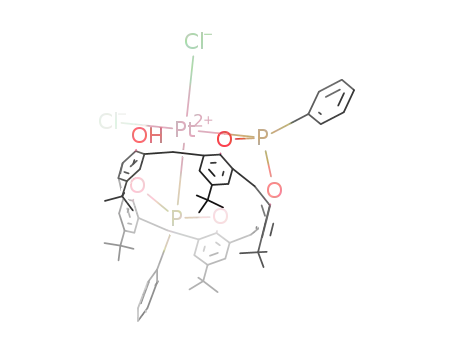 1379086-49-3