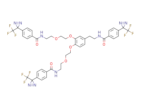N,N'-([4-(2-{4-[3-(trifluoromethyl)-3H-diazirin-3-yl]benzamido}ethyl)-1,2-phenylene]bis(oxyethane-2,1-diyloxyethane-2,1-diyl))bis{4-[3-(trifluoromethyl)-3H-diazirin-3-yl]benzamide}