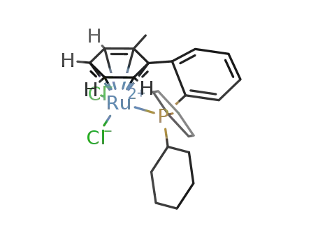 Molecular Structure of 568592-70-1 ([Ru(η6:η1-2-(dicyclohexylphosphino)-2-methylbiphenyl-P)Cl2])