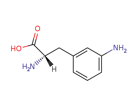 3- 아미노 -L- 페닐알라닌