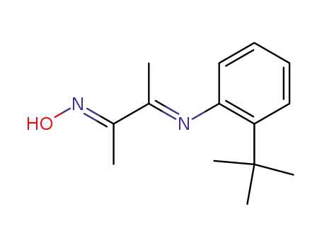 Molecular Structure of 639793-55-8 ((E,E)-2-[(2-tert-butylphenyl)imino]-3-(hydroxyimino)butane)