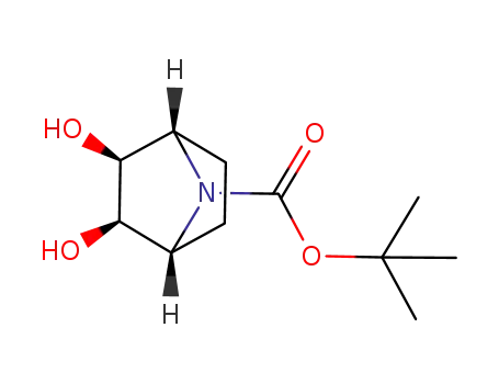Molecular Structure of 637026-09-6 (7-Azabicyclo[2.2.1]heptane-7-carboxylic acid, 2,3-dihydroxy-,
1,1-dimethylethyl ester, (1R,2R,3S,4S)-rel-)