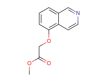 (이소퀴놀린-5-일옥시)-아세트산 에틸 에스테르