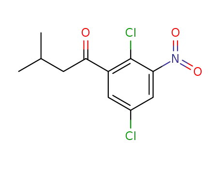 1-(2,5-dichloro-3-nitrophenyl)-3-methyl-1-butanone