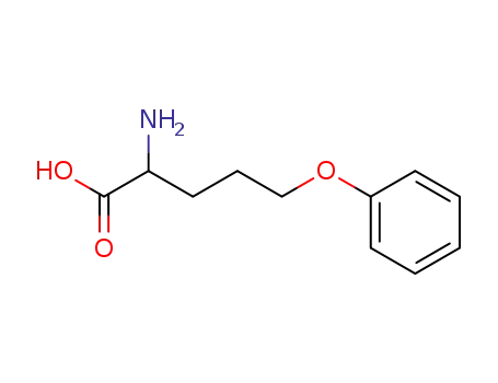 5-phenoxy-norvaline
