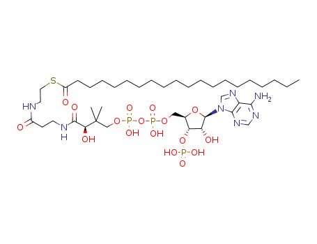 (C20:0) COENZYME A