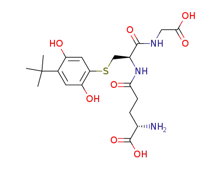 Molecular Structure of 139035-70-4 (5-(S-glutathionyl)-2-tert-butylhydroquinone)