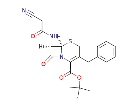 (6<i>R</i>)-3-benzyl-7<i>t</i>-(2-cyano-acetylamino)-8-oxo-(6<i>r</i><i>H</i>)-5-thia-1-aza-bicyclo[4.2.0]oct-2-ene-2-carboxylic acid <i>tert</i>-butyl ester