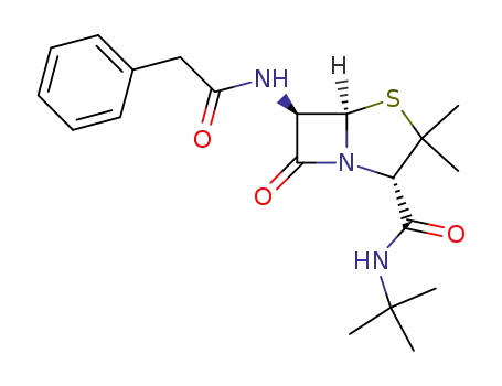 Molecular Structure of 34104-21-7 (6β-(2-phenyl-acetylamino)-penicillanic acid <i>tert</i>-butylamide)