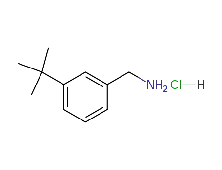 1-(3-tert-부틸페닐)메탄아민