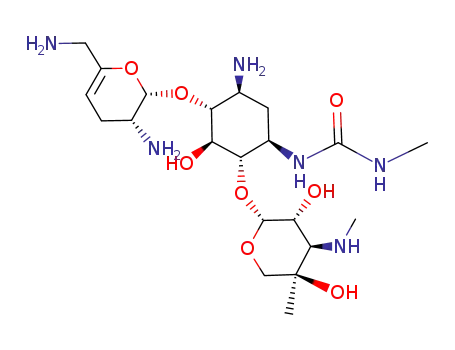 1-N-(methylcarboxamido)sisomicin