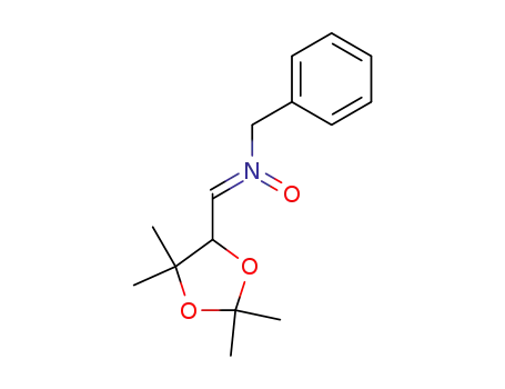 Molecular Structure of 105623-22-1 ((Z)-N-(2,2,5,5-tetramethyl-1,3-dioxolan-4-yl)methylenebenzylamine N-oxide)