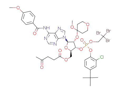 5'-O-levulinyl-2'-O-(methoxytetrahydropyranyl)-6-N-(p-anisoyl)adenosine 3'-O-(2,2,2-tribromoethyl 2-chloro-4-tert-butylphenyl phosphate)