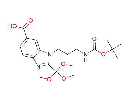 Molecular Structure of 1311568-99-6 (1-{3-[(tert-butoxycarbonyl)amino]propyl}-2-(trimethoxymethyl)-1H-benzimidazole-6-carboxylic acid)