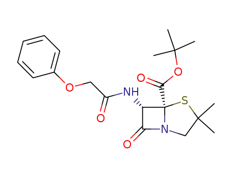(5<i>S</i>)-3,3-dimethyl-7-oxo-6<i>c</i>-(2-phenoxy-acetylamino)-4-thia-1-aza-bicyclo[3.2.0]heptane-5<i>r</i>-carboxylic acid <i>tert</i>-butyl ester