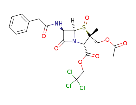 9-acetoxy-1β-oxo-6β-(2-phenyl-acetylamino)-1λ<sup>4</sup>-penicillanic acid 2,2,2-trichloro-ethyl ester