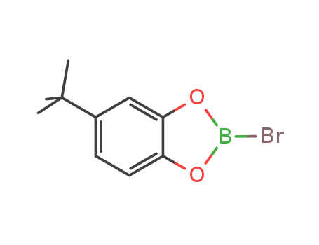 Molecular Structure of 664355-10-6 (1,3,2-Benzodioxaborole, 2-bromo-5-(1,1-dimethylethyl)-)