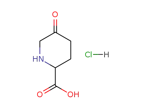 Molecular Structure of 99980-20-8 (2-Piperidinecarboxylic acid, 5-oxo-, hydrochloride)