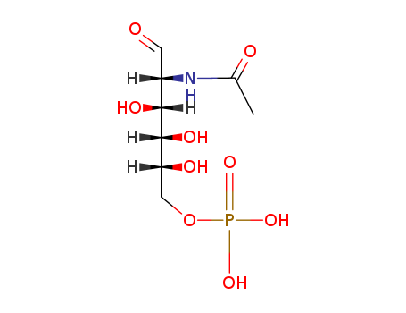 [(2R,3S,4R,5R)-5-acetamido-2,3,4-trihydroxy-6-oxo-hexoxy]phosphonic acid