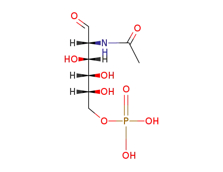 Molecular Structure of 1746-32-3 ([(2R,3S,4R,5R)-5-acetamido-2,3,4-trihydroxy-6-oxo-hexoxy]phosphonic acid)