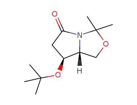 7-<i>tert</i>-butoxy-3,3-dimethyl-tetrahydro-pyrrolo[1,2-<i>c</i>]oxazol-5-one