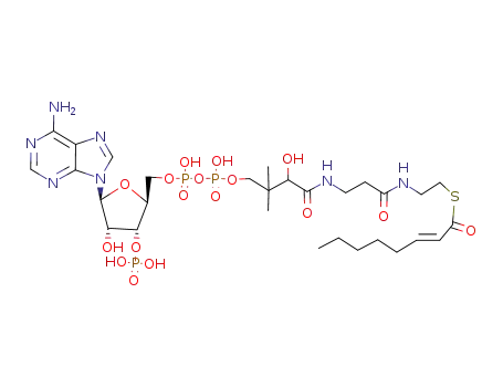 Molecular Structure of 10018-94-7 (S-[2-[3-[[4-[[[(2R,3S,4R,5R)-5-(6-aminopurin-9-yl)-4-hydroxy-3-phosphonooxyoxolan-2-yl]methoxy-hydroxyphosphoryl]oxy-hydroxyphosphoryl]oxy-2-hydroxy-3,3-dimethylbutanoyl]amino]propanoylamino]ethyl] (E)-oct-2-enethioate)