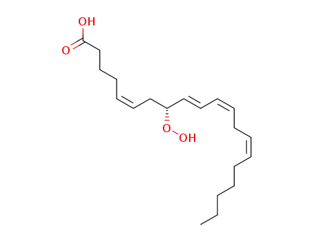 Molecular Structure of 100896-35-3 (8-hydroperoxyeicosatetraenoic acid)
