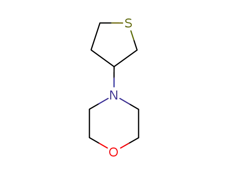 4-tetrahydrothiophen-3-yl-Morpholine