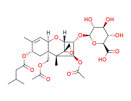T-2 독소 글루쿠로나이드