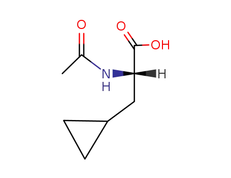 Molecular Structure of 121786-36-5 ((R)-2-ACETYLAMINO-3-CYCLOPROPYLPROPIONIC ACID)