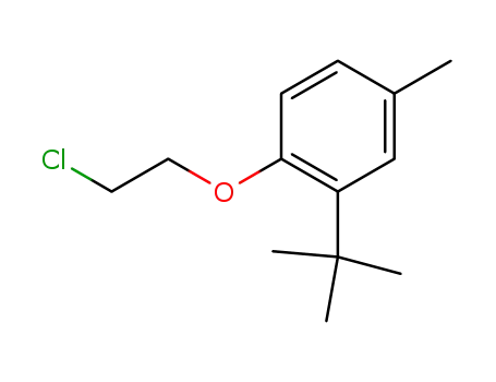 (2-<i>tert</i>-butyl-4-methyl-phenyl)-(2-chloro-ethyl)-ether