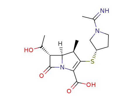 Molecular Structure of 103730-44-5 (6-(1-hydroxyethyl)-2-(1-acetimidoylpyrrolidin-3-ylthio)-1-methyl-1-carbapen-2-em-3-carboxylic acid)