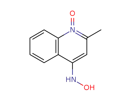 2-메틸-4-하이드록실라미노퀴놀린1-옥사이드