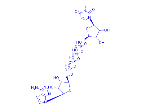 Molecular Structure of 10527-48-7 (adenosine(5')tetraphosphate uridine)