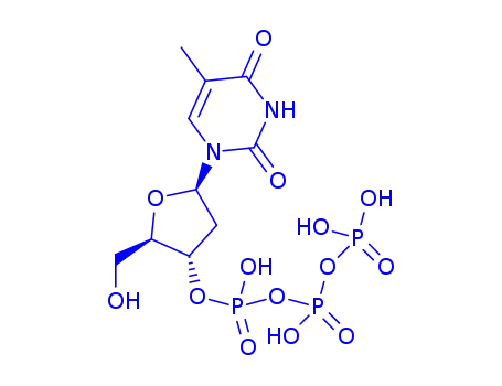 Thymidine 3'-triphosphoric acid