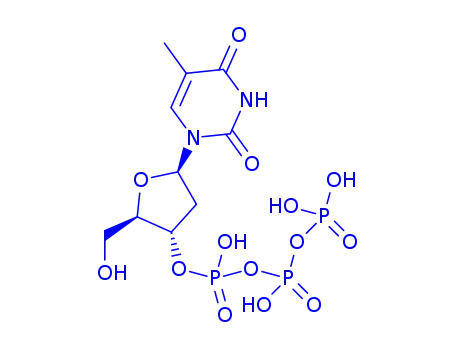 チミジン3′-三りん酸