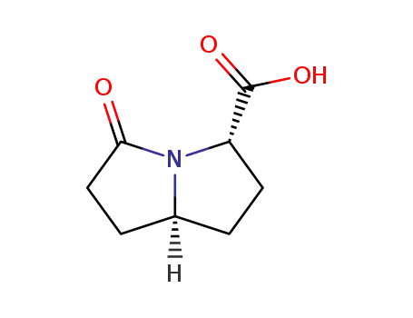 Molecular Structure of 106281-23-6 (1H-Pyrrolizine-3-carboxylicacid,hexahydro-5-oxo-,trans-(9CI))