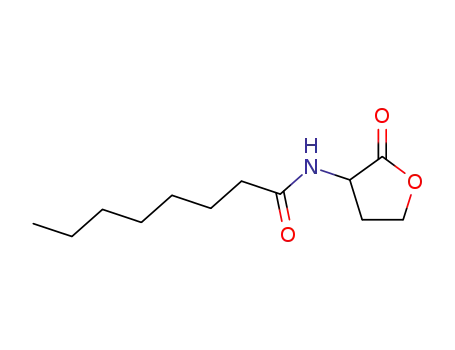 N-Octanoyl-DL-homoserine lactone