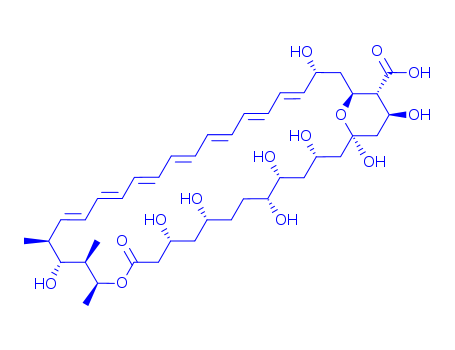 Amphoteronolide B