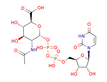 Molecular Structure of 25174-34-9 (uridine diphosphate N-acetyl-D-mannosaminuronic acid)