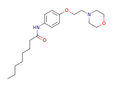 Molecular Structure of 112325-29-8 (N-(4-ethoxyphenyl)-3-morpholin-4-yloctanamide)