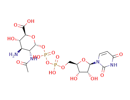 UDP-GlcNAc<sub>3</sub>NA