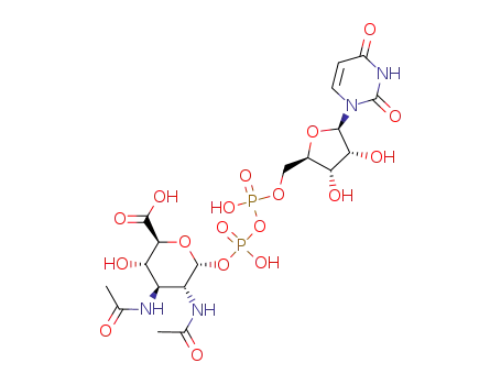 uridine 5'-diphospho-2,3-diacetamido-2,3-dideoxyglucopyranuronic acid