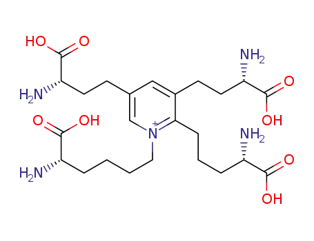 Molecular Structure of 991-01-5 (Isodesmosine)