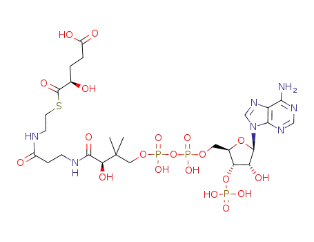 2-Hydroxyglutaryl-1-coenzyme A