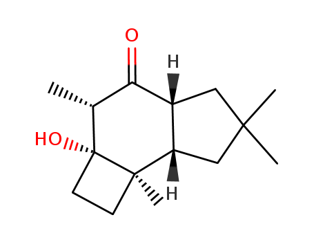 Sibutramine hcl monohydrate